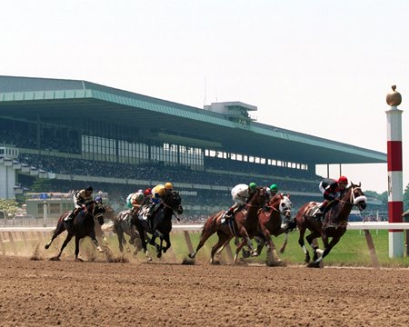 Horses racing at Belmont Park