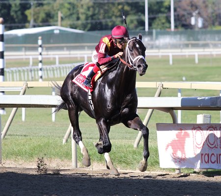 Coal Front sails to a half-length victory in the Gallant Bob at Parx