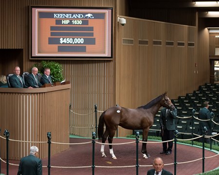 Hip 1630, a Curlin colt consigned by KatieRich Farms, sells to Mike Ryan for $450,000 Sept. 17