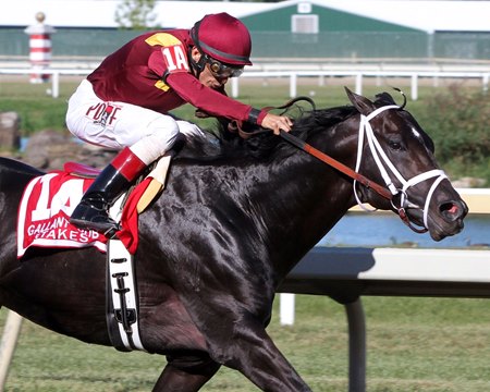 Coal Front and John Velazquez win the Gallant Bob Sept. 23 at Parx Racing