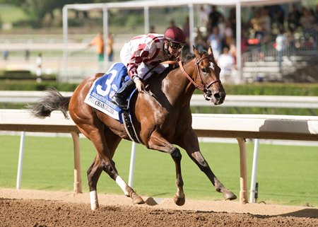 Moonshine Memories Stays Perfect With Chandelier Win - BloodHorse