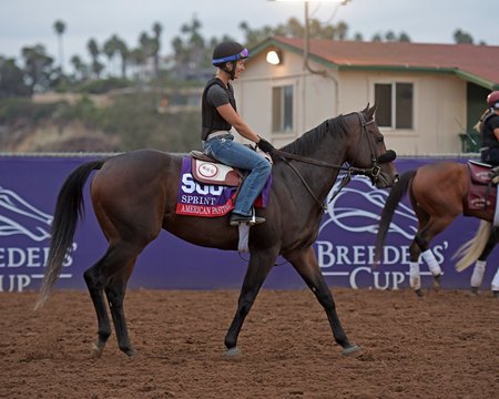 American Pastime trains for the 2017 Breeders' Cup Sprint at Del Mar