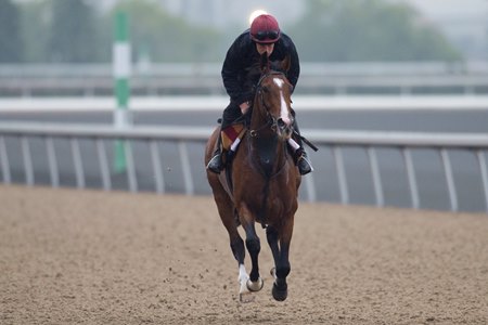 Euros Invade for E.P. Taylor, Canadian International BloodHorse