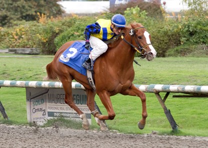 Weekend Wizard - Horse Profile - BloodHorse