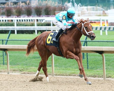 Unbeaten Monomoy Girl Aims to Make Grade in Golden Rod - BloodHorse