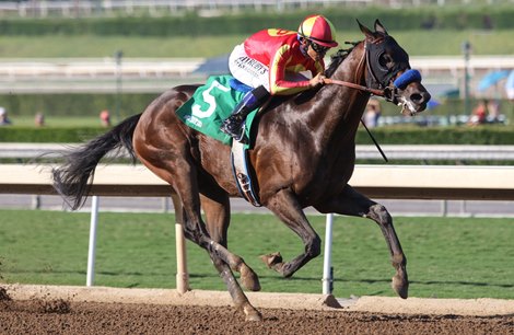 McKinzie Wins Emotional Debut for Baffert - BloodHorse