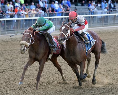 Evaluator (left) wins the 2017 Sleepy Hollow Stakes at Belmont Park