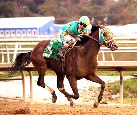 Bonus Points storms home in the Maryland Million Classic at Laurel Park