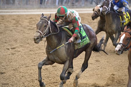 Firenze Fire Bounces Back to Win Champagne - BloodHorse