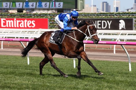 Winx Simply Brilliant in Turnbull Stakes - BloodHorse