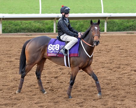 Marsha ahead of the 2017 Breeders' Cup at Del Mar