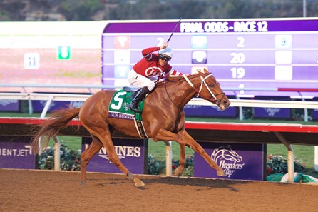 2017 Breeders' Cup Saturday - Slideshow - BloodHorse