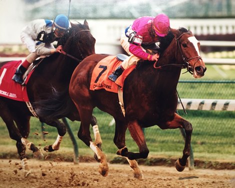 Look Back: Mariah's Storm Tops Lakeway in Falls City - BloodHorse