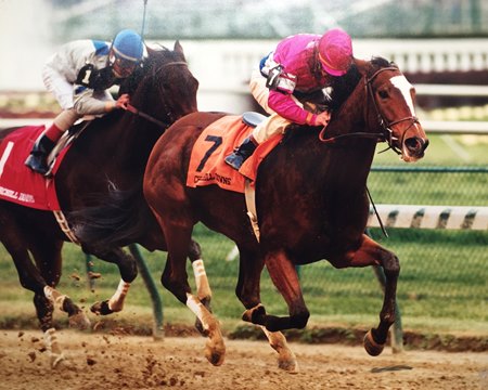 Look Back: Mariah's Storm Tops Lakeway in Falls City - BloodHorse