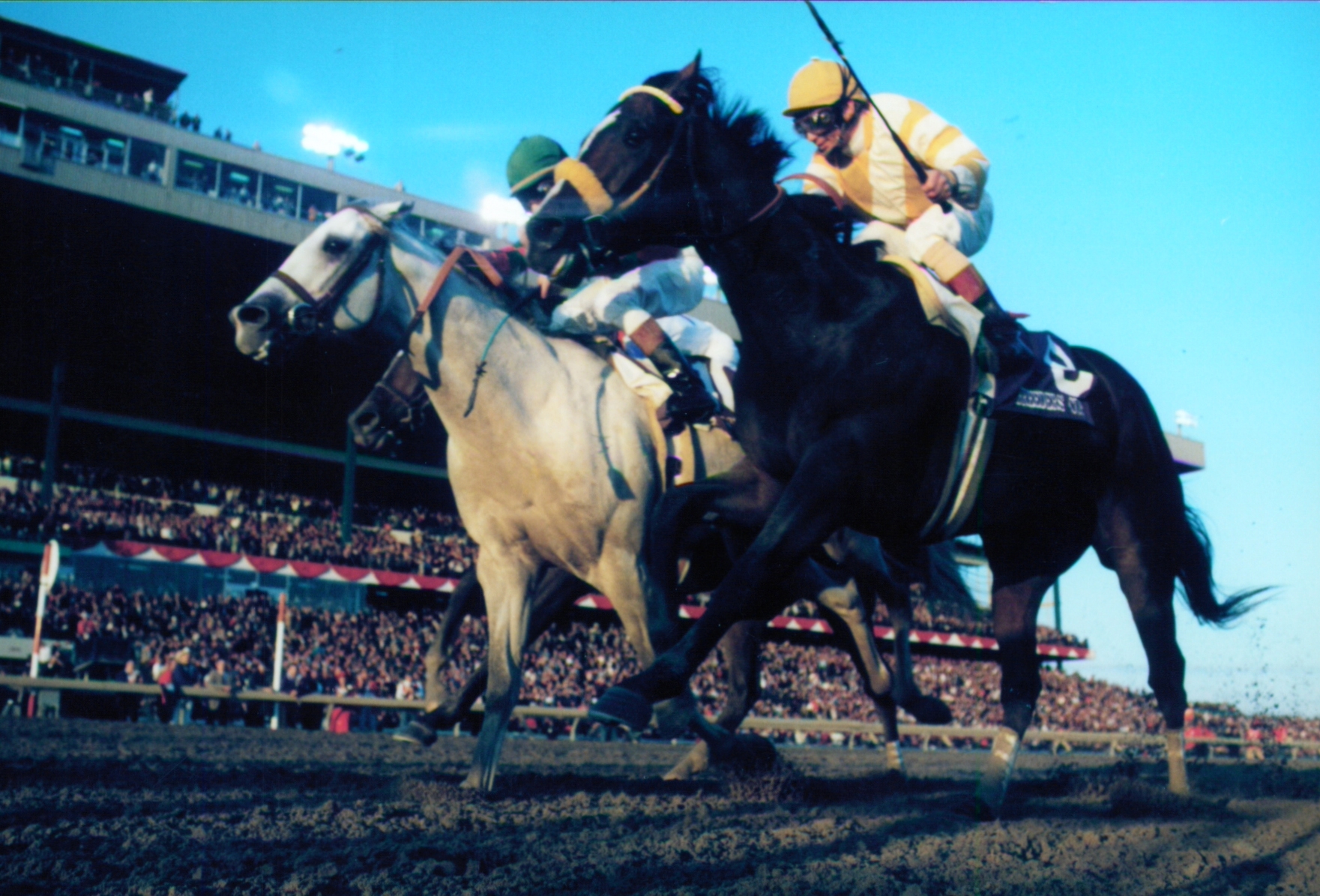 Alphabet Soup's Breeders' Cup Classic Win - BloodHorse