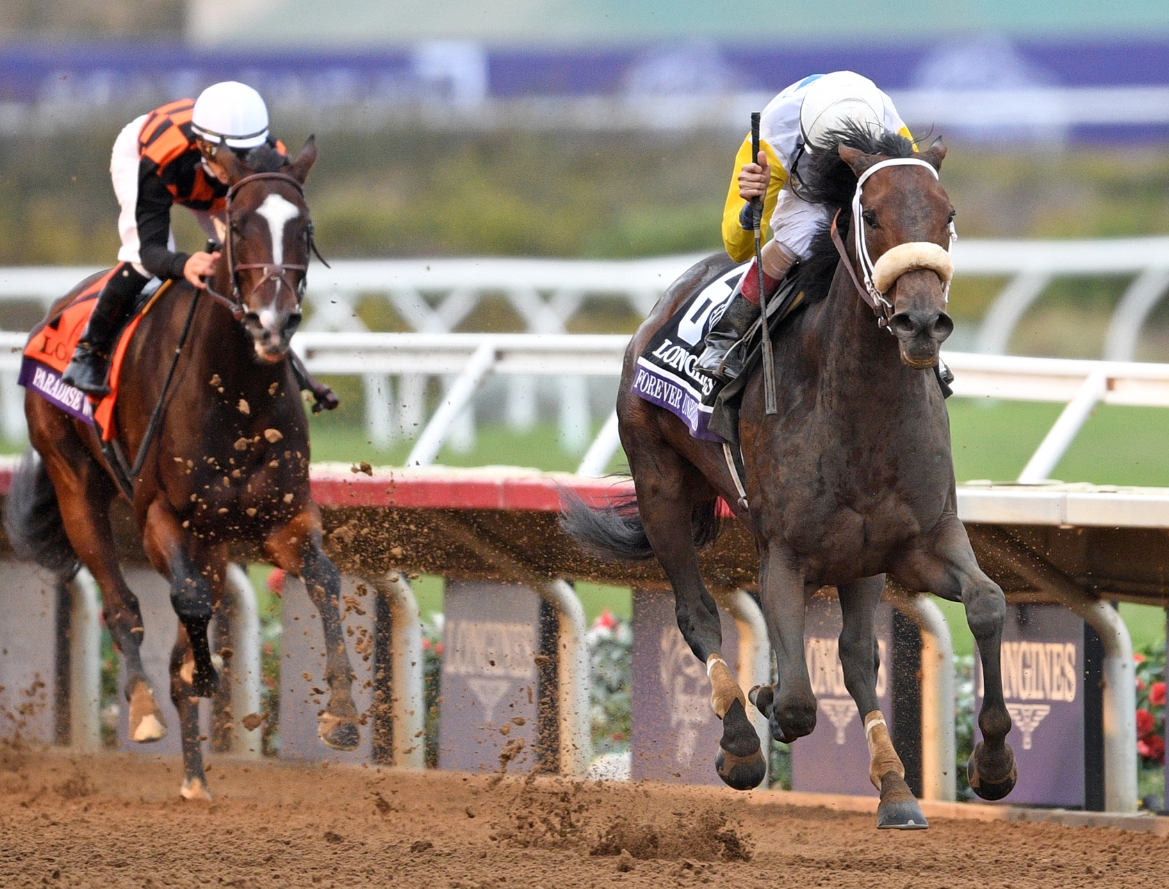 Forever Unbridled Reigns in Breeders Cup Distaff BloodHorse