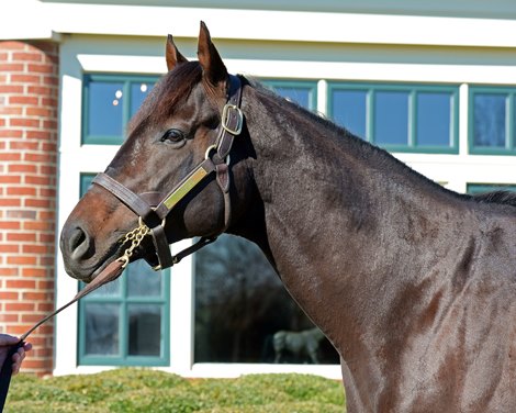 Stallion Unified Relocates to LACER in Louisiana