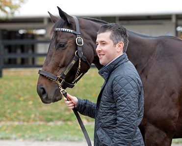 Tepin - Horse Profile - BloodHorse