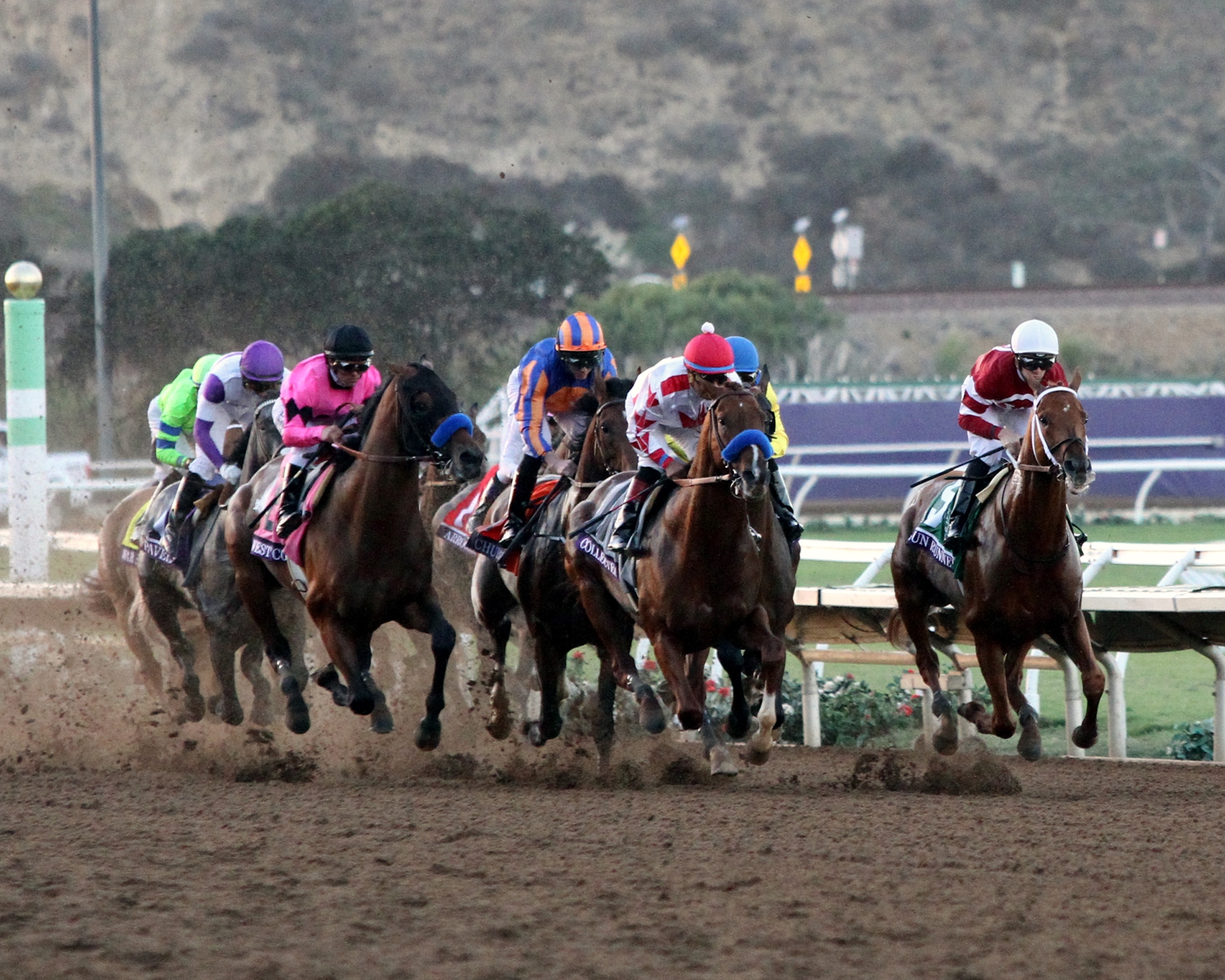 2017 Breeders' Cup Saturday - Slideshow - BloodHorse