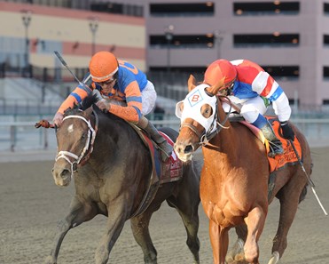 Stay Thirsty - Horse Profile - BloodHorse