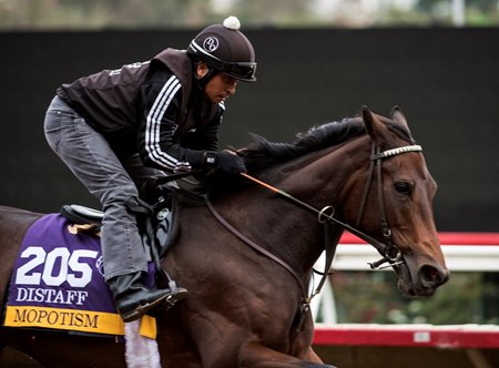 Mopotism trains ahead of the 2017 Breeders' Cup at Del Mar