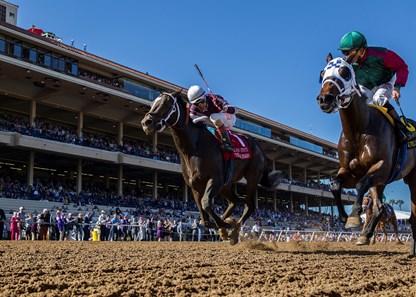 Bookies Luck - Horse Profile - BloodHorse