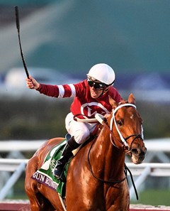 2017 Breeders' Cup Saturday - Slideshow - BloodHorse