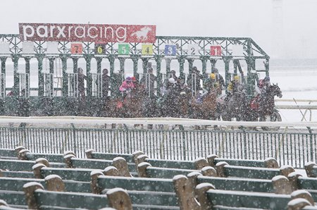 Racing in the snow at Parx Racing