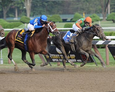 Alpha - Horse Profile - BloodHorse