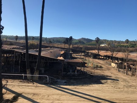 Damaged barns at San Luis Rey Downs days after they were ravaged by the Lilac fire in 2017
