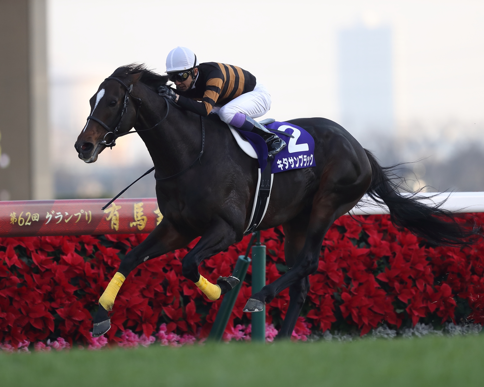 キタサンブラック　KITASAN BLACK  スタジャン KITASAN BLACK-種牡馬・産駒-Shadai Stallion Station