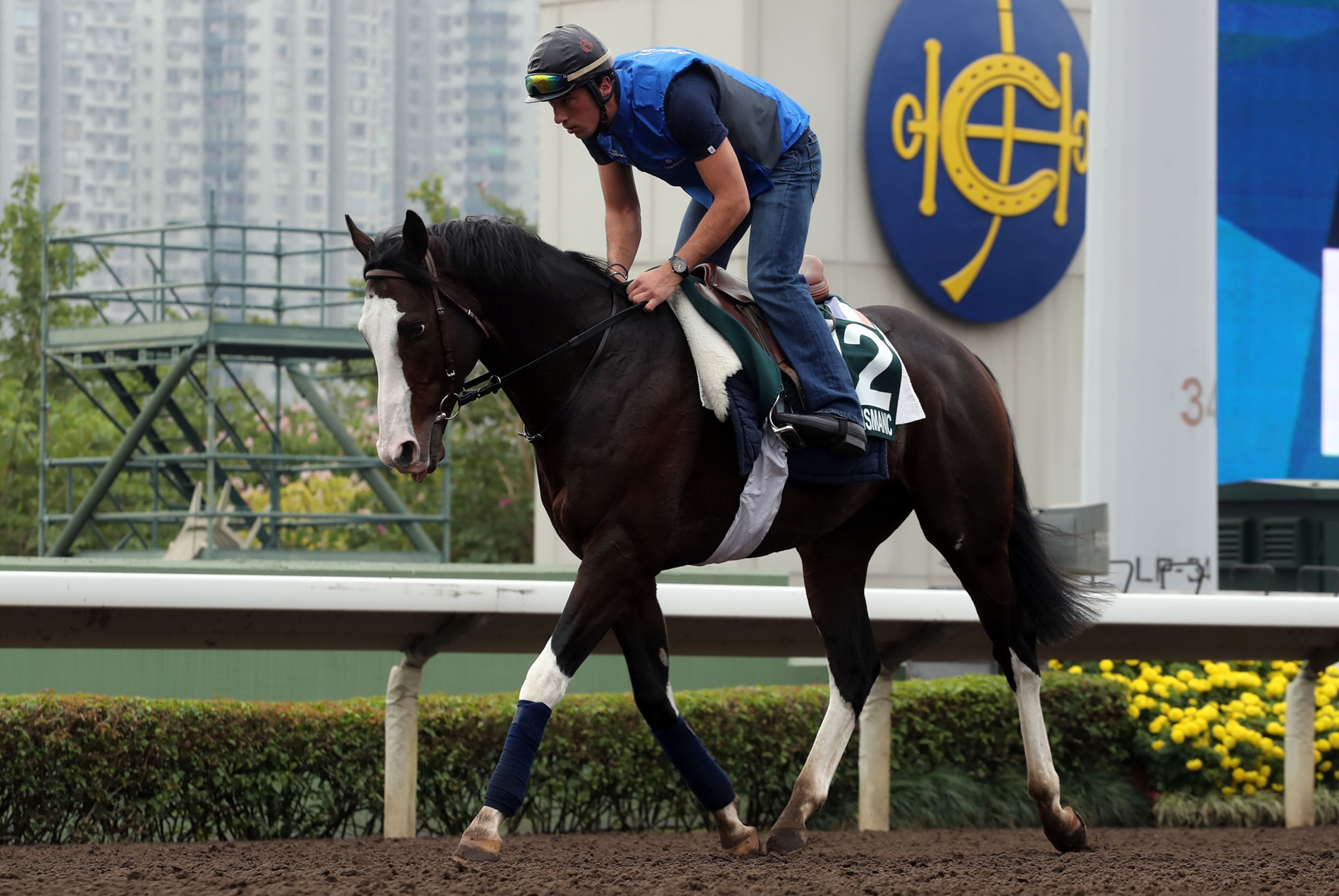 Fields Set for Longines Hong Kong International Races BloodHorse