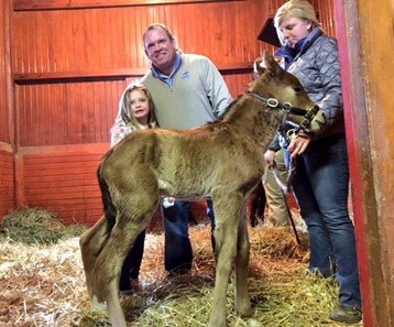 California Chrome's first foal is a colt