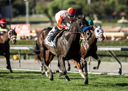 Heck Yeah - Horse Profile - BloodHorse