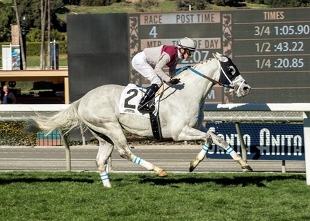 Calculator Speeds to Victory in Clockers' Corner Stakes - BloodHorse