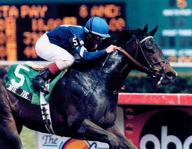 Favorite Trick - Horse Profile - BloodHorse