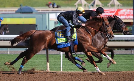 Collected, West Coast Put in Final Works for Pegasus - BloodHorse