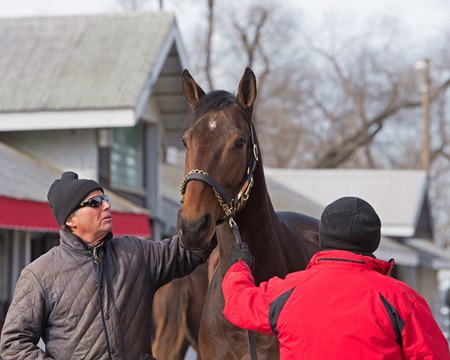 Mrs McDougal Tops Vibrant Keeneland January Session - BloodHorse