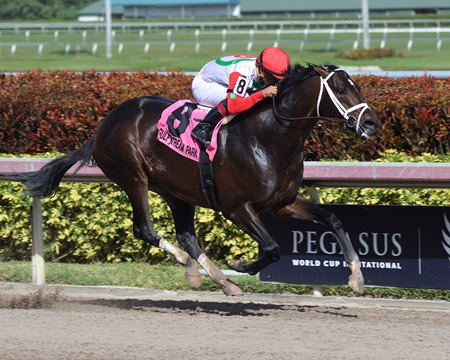 Tommy Macho wins the Fred W. Hooper Stakes at Gulfstream Park