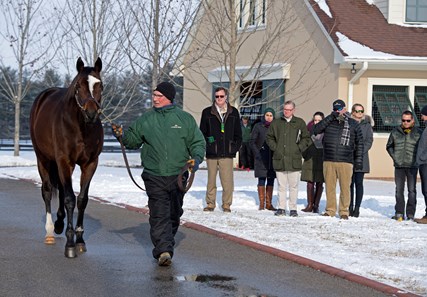 Tonalist - Horse Profile - BloodHorse