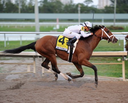 Audible wins the Holy Bull Stakes at Gulfstream Park