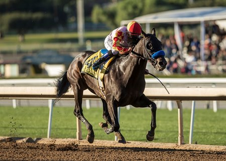 Heck Yeah Speeds to Victory in California Cup Derby - BloodHorse