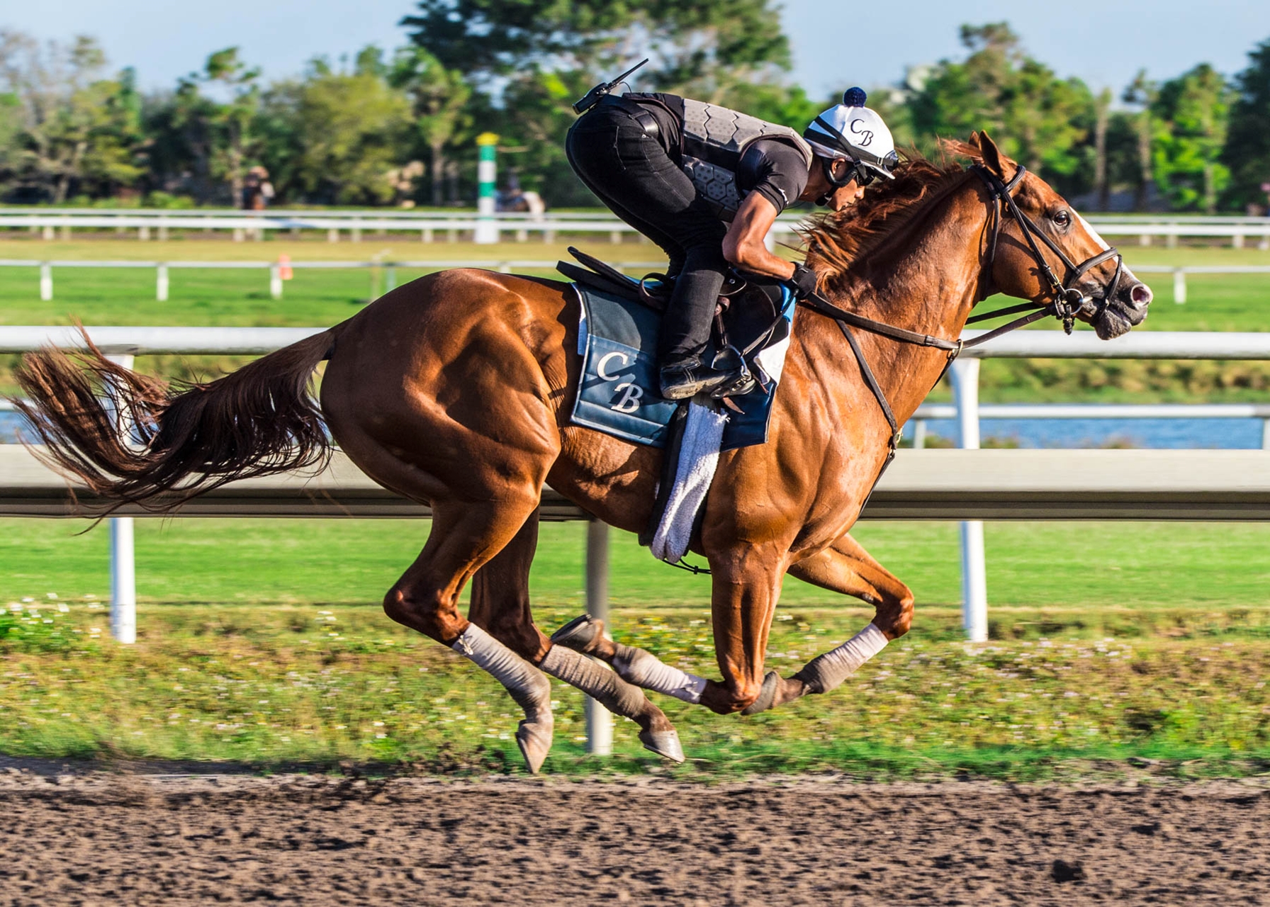 Good Magic es el favorito en el Fountain of Youth G2