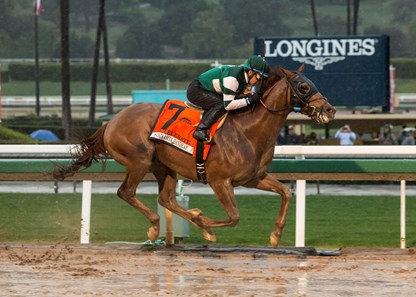 Accelerate - Horse Profile - BloodHorse