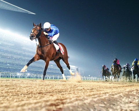 Dubai Cup Winners