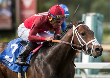 River Boyne Keeps Rolling In Pasadena Stakes Bloodhorse