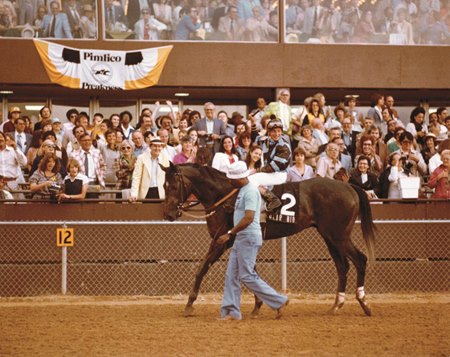 SPECTACULAR BID USA 1979 Kentucky Derby winner modern Digital Photo Postcard