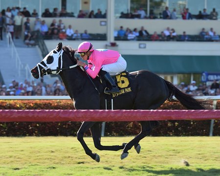 Hogy wins the 2018 Canadian Turf Stakes at Gulfstream Park