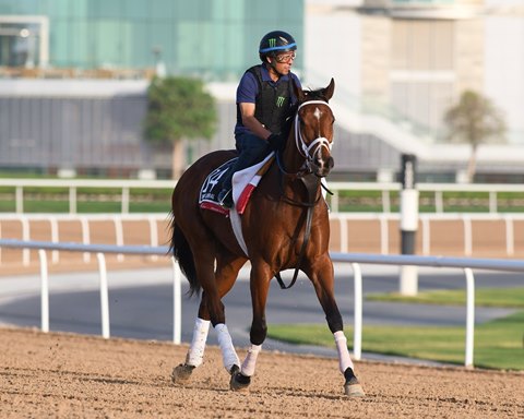 Calculator Speeds to Victory in Clockers' Corner Stakes - BloodHorse