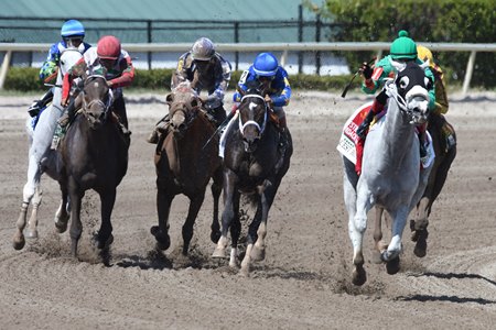 Conquest Big E Inside) wins the Hardacre Mile over Always Dreaming (blue cap) at Gulfstream Park